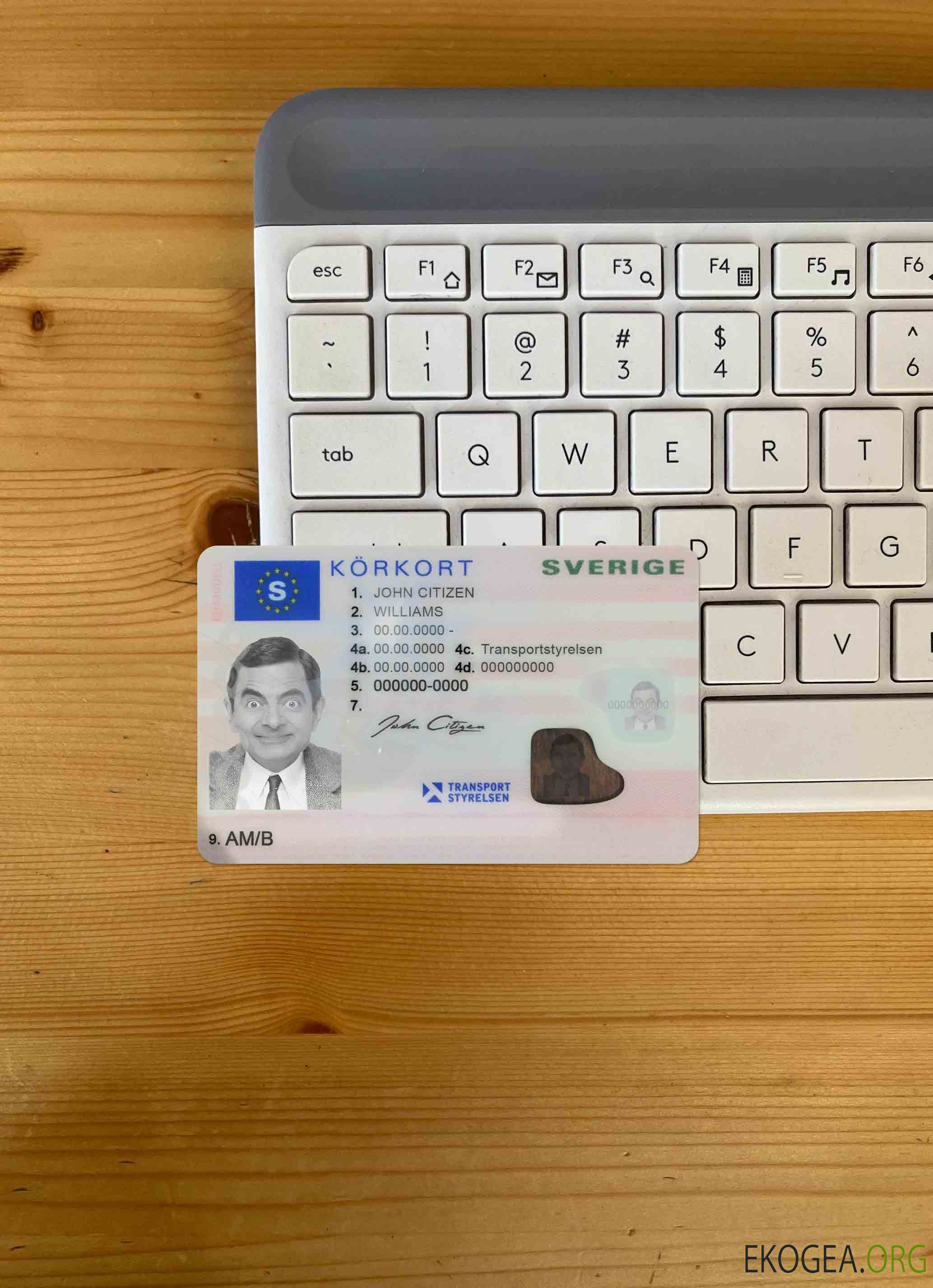 Permis de conduire suédois (2016 présent) photolook AVANT